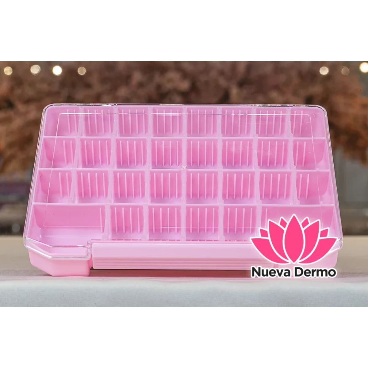 ORGANIZADOR STRASS 20171