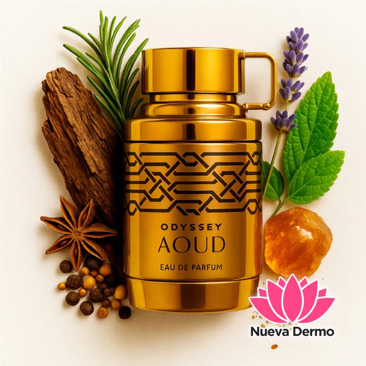 PERFUME ODYSSEY AOUD EDITION 100ML MS040/MG-70055 6294015166149
