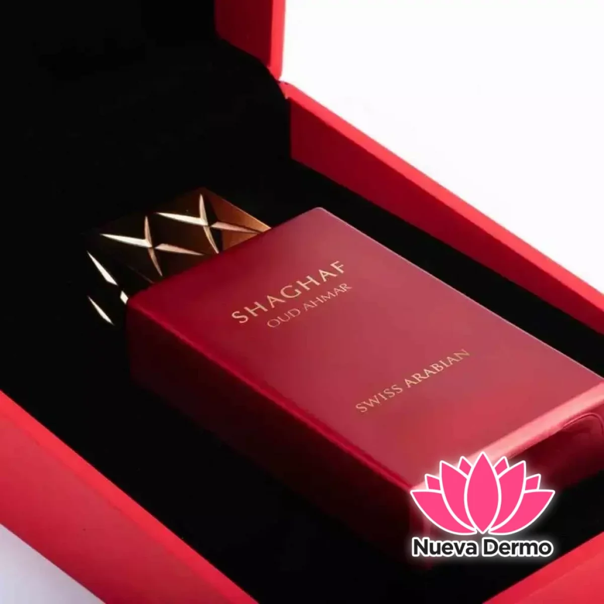 PERFUME SHAGHAF OUD AHMAR 6295124042836