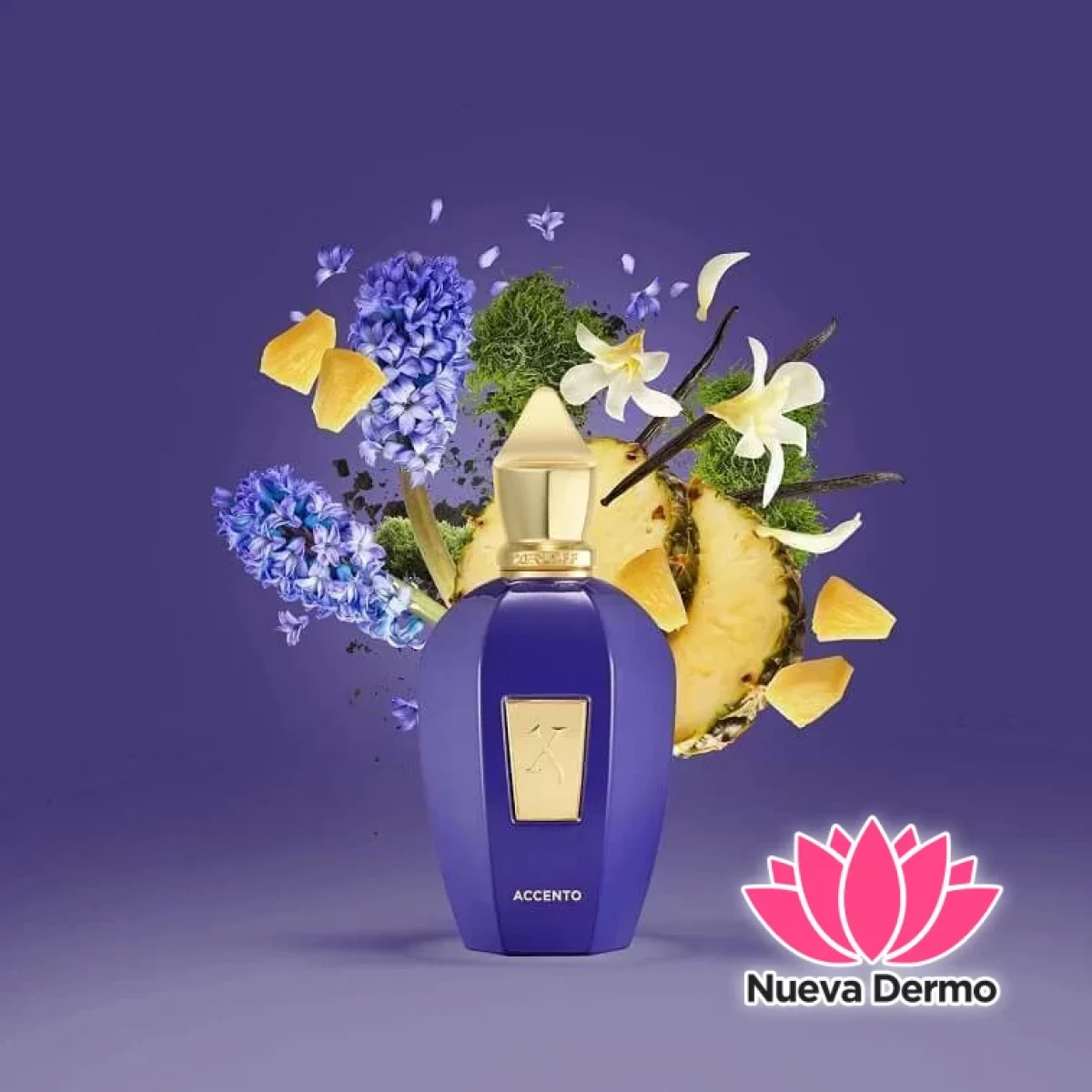 PERFUME XERJOFF ACCENTO 100ML MG70082 8054320902553