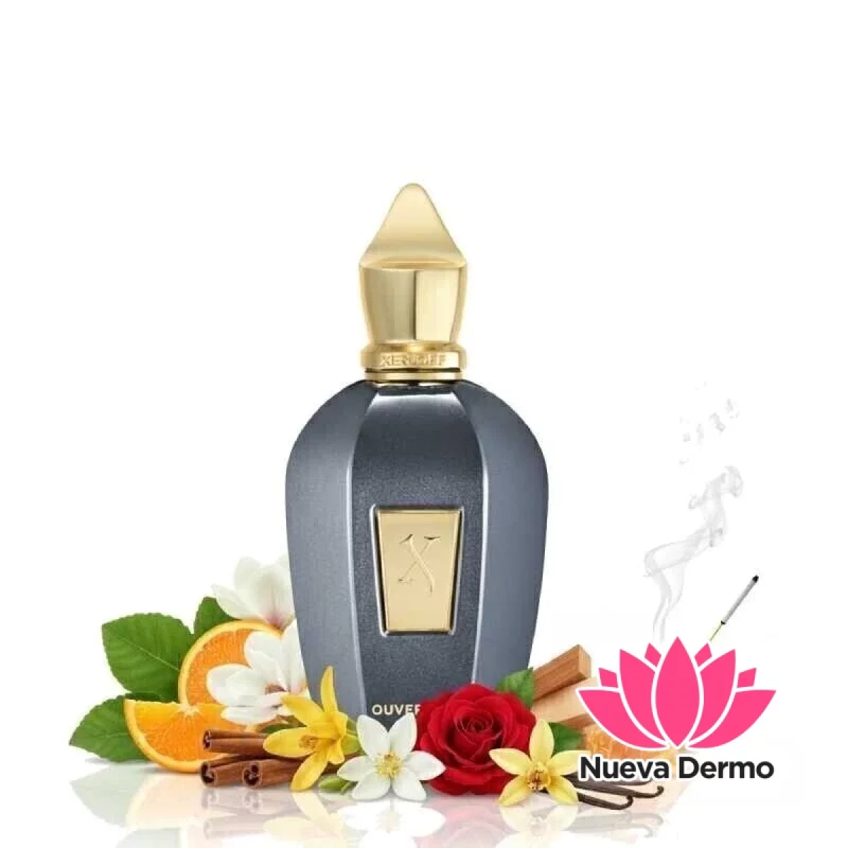 PERFUME XERJOFF OUVERTURE 100ML MG70083 8054320902669