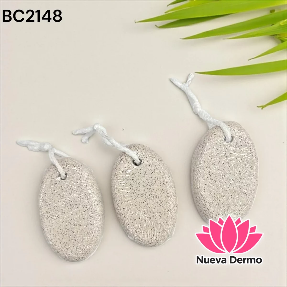 PIEDRA POMEZ BC2148