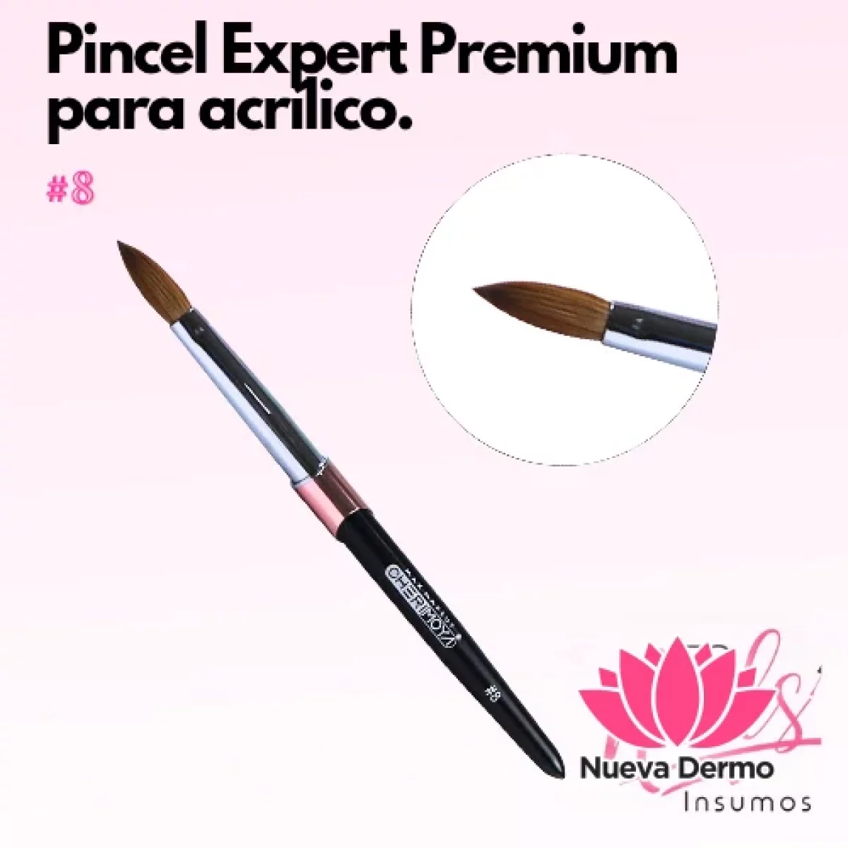 Pincel Expert Premium para Acrílico #8