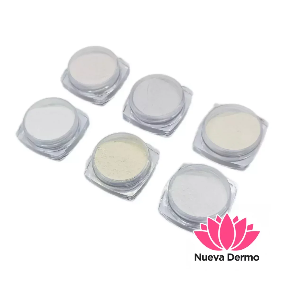 POLVO AURORA x6