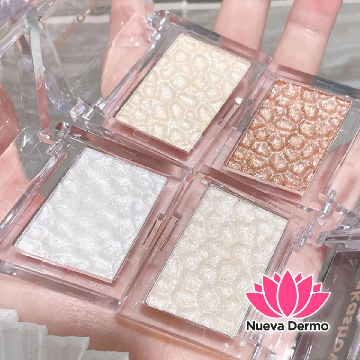 POLVO ILUMINADOR DE CRISTAL DE HIELO PALETA CONTORNO C098