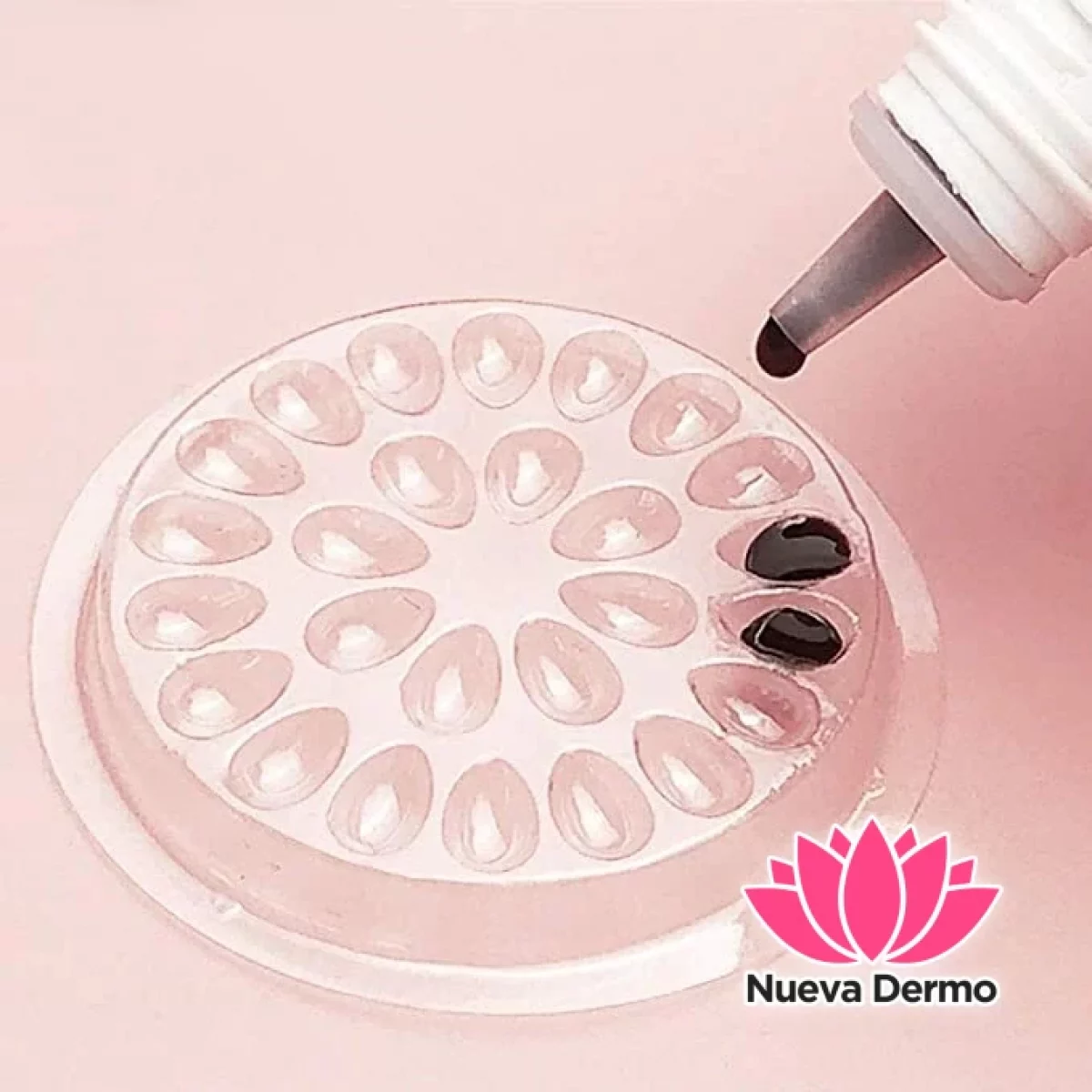 Porta Pegamento Pvc Flor