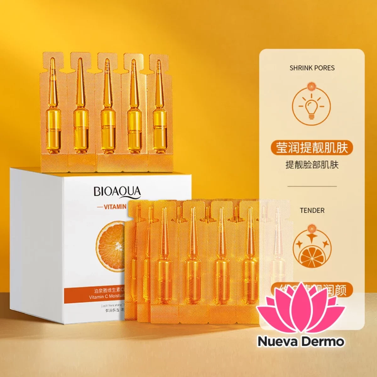 Serum Ampolla Antioxidante con Vitamina C 2ML X 20 00506