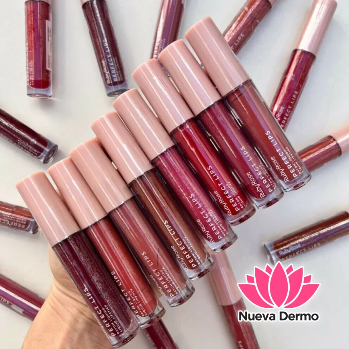 RUBY ROSE LABIAL LIQUIDO PERFECT LIPS HB-L6200