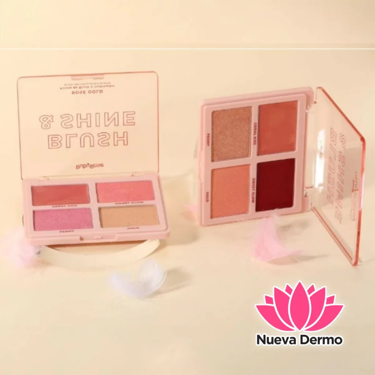 RUBY ROSE BLUSH & SHINE HB-M1001