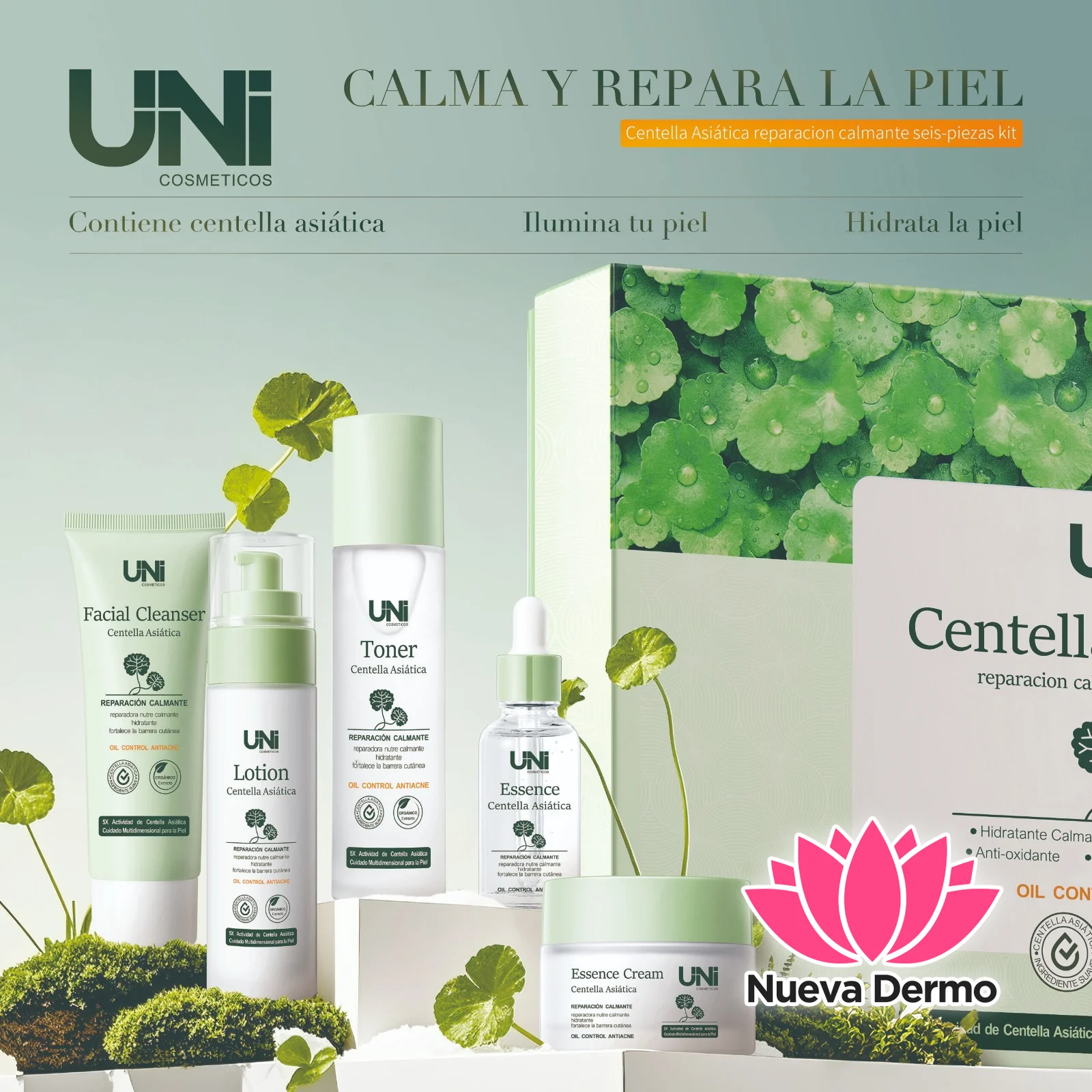 kit Ritual Facial De Centella Asiatica Hidratante 6 Piezas Uni