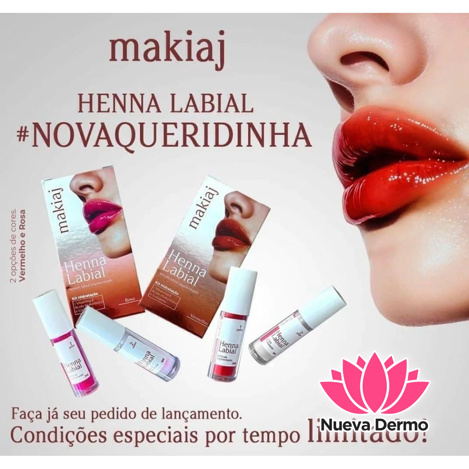 MAKIAJ HENNA LABIAL